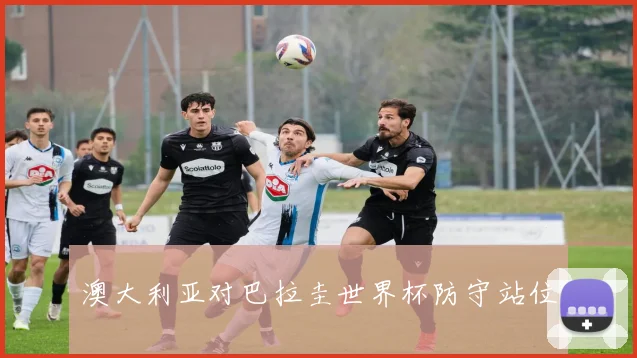 澳大利亚对巴拉圭世界杯防守站位