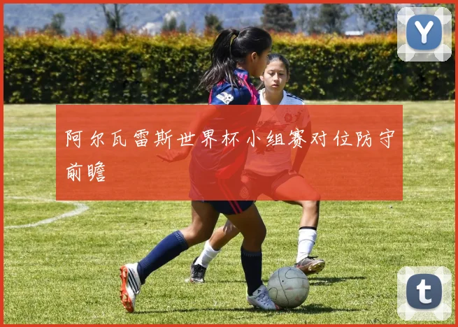 阿尔瓦雷斯世界杯小组赛对位防守前瞻