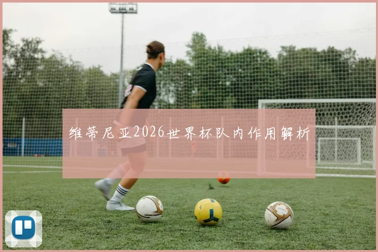 维蒂尼亚2026世界杯队内作用解析