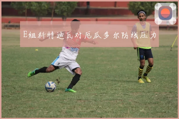 E组科特迪瓦对厄瓜多尔防线压力